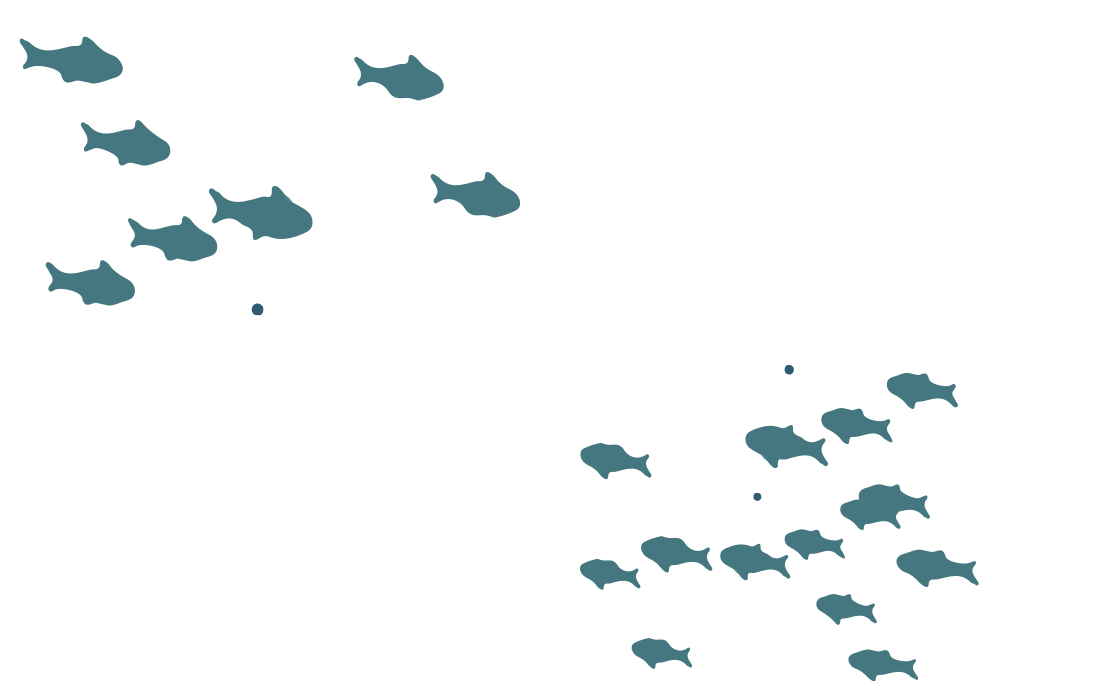rev_fish