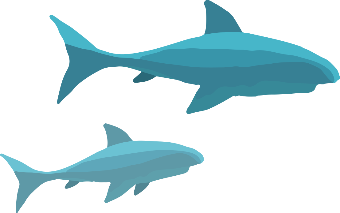 rev_shark
